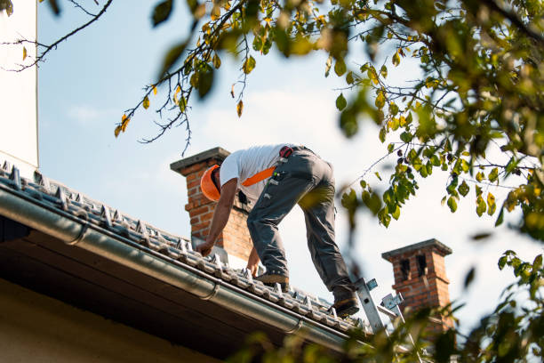Best New Roof Installation  in Ness City, KS