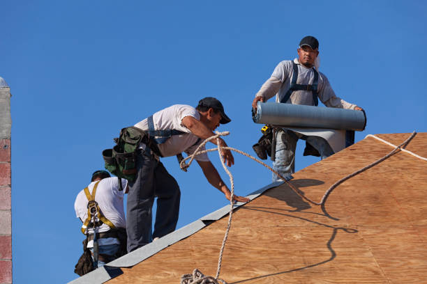 Best Tile Roofing Contractor  in Ness City, KS